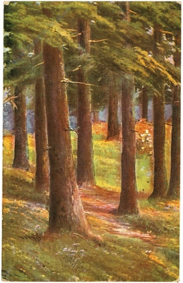 im wald