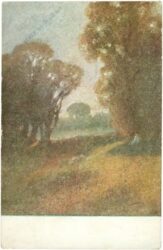 waldweg waldweg