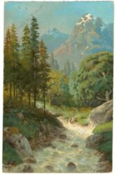 wilder flusslauf