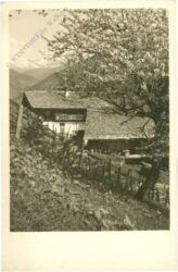 almhütte mit blühendem baum