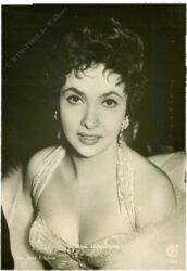 lollobrigida gina