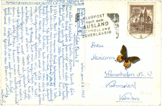 hollarie, hollaro ... heit bussl i olle o...