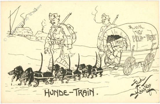deutschmeister: hunde train
