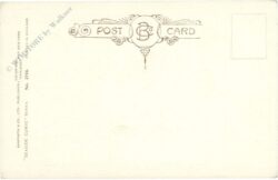 it's rotten when you dive...