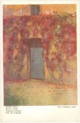 schuster, karl: wilder wein