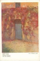 schuster, karl: wilder wein