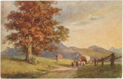 kulstrunk, f.: straße nach bergheim