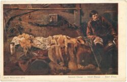 malczekski, jacek: mort elenai