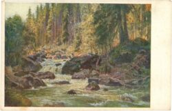 prinz, k.l.: gebirgswasser