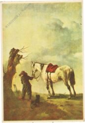 wouwerman: le cheval blanc