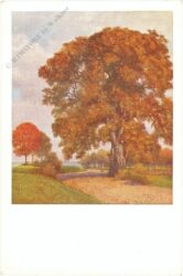 schuster, k.m.: herbstpracht