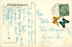 krummau a.d.m., hotel rose