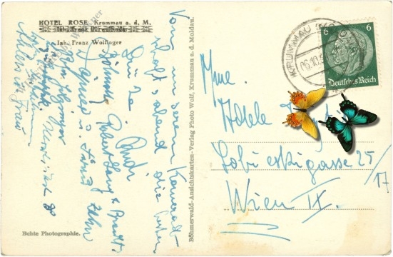 krummau a.d.m., hotel rose