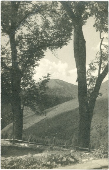 ansicht