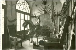 zleby, schloss, rittersaal