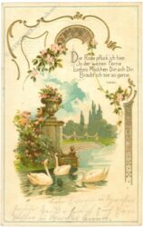 die rose pflück' ich hier...