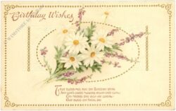 geburtstag: margeriten mit vers