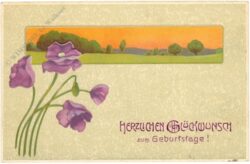 geburtstag: violetter mohn