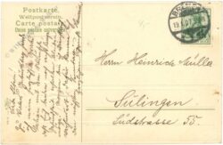 geburtstag: violetter mohn