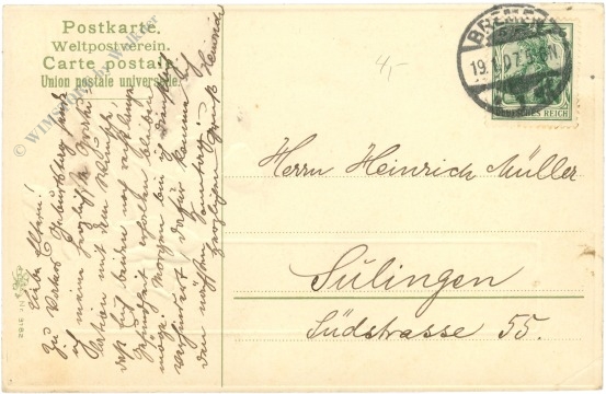 geburtstag: violetter mohn