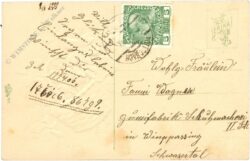 namenstag: veilchen