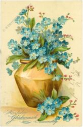 namenstag: vergissmeinnicht in vase