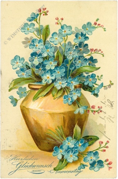 namenstag: vergissmeinnicht in vase namenstag: vergissmeinnicht in vase