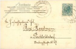 namenstag: gratulant mit blumenstock