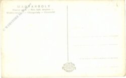 magyarbolyböl, multiansicht