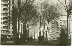 bukarest, b dul nicolae balcescu