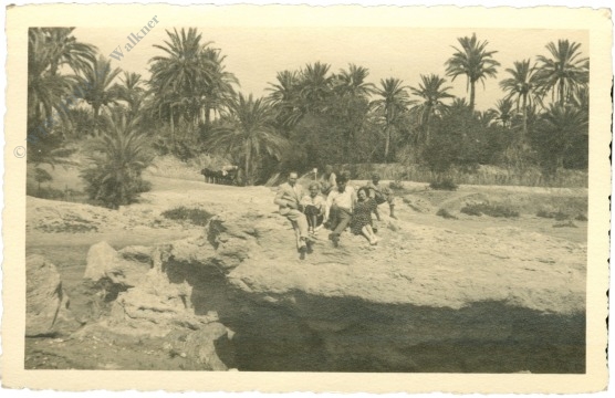 oase gabes, ansicht oase gabes, ansicht