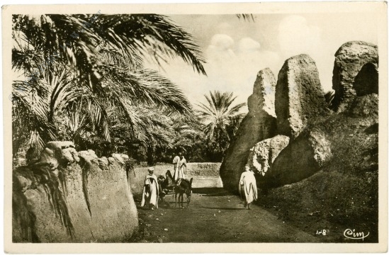 biskra, ansicht