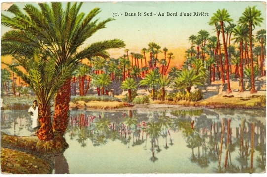 dans le sud, au bord d'une riviere