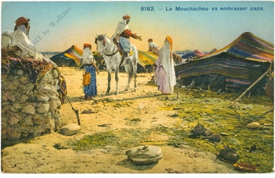 algier, ansicht