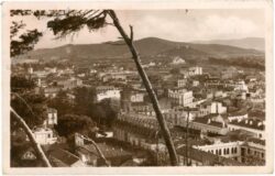 anaba (bone), panorama