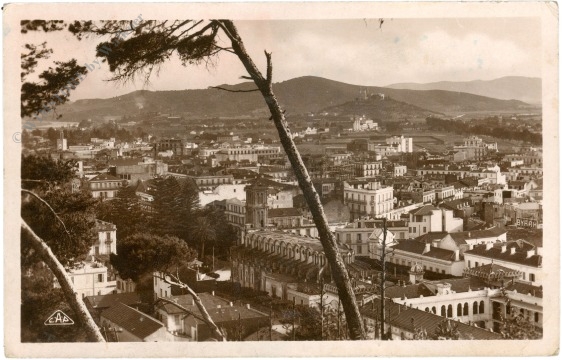 anaba (bone), panorama