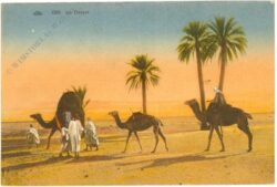 algier, in der wüste