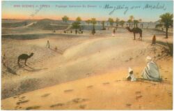 algier, paysage saharien au desert