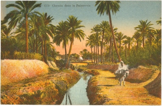 algier, ansicht