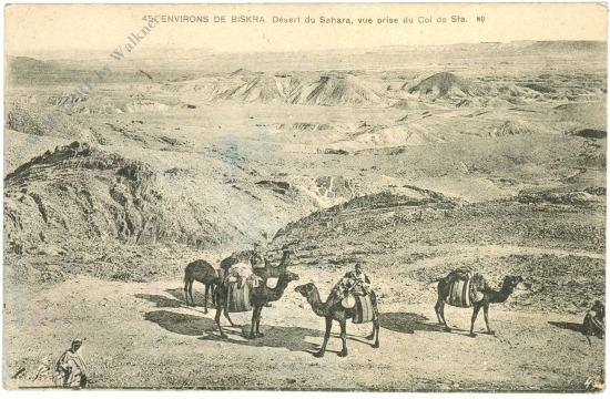 biskra, sahara