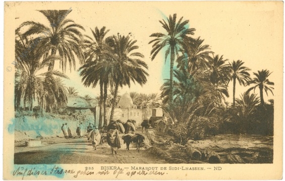 biskra, ansicht