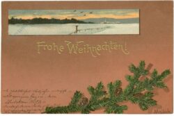 weihnachten: zweig mit zapfen und landschaft