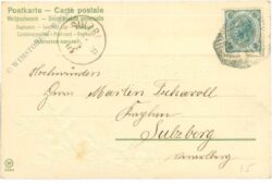 weihnachten: zweig mit zapfen und landschaft