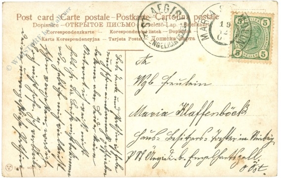 weihnachten: kinder mit hund und schlitten