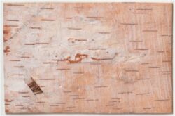 weihnachten: birkenrindenkarte mit getrockneten pflanzen