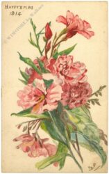 weihnachten: blumenstrauß