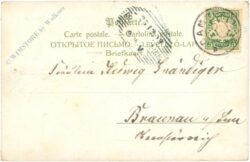 weihnachten: zwei mit vögel