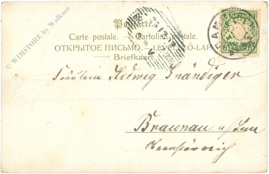 weihnachten: zwei mit vögel