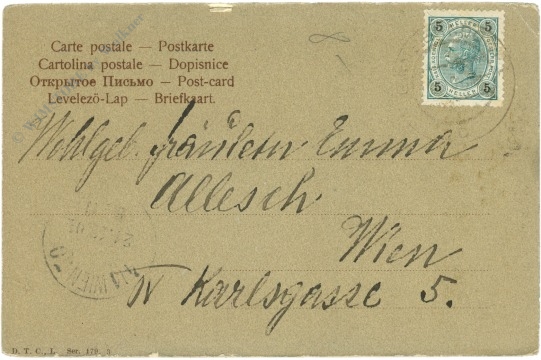 weihnachten: wacholderzweig