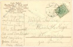 weihnachten: zweig mit band